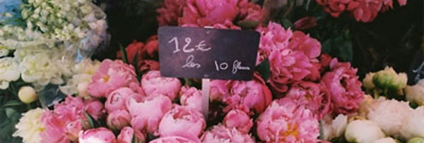 pivoine